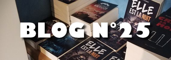 [BLOG N&deg;25] Fins de stock 2024